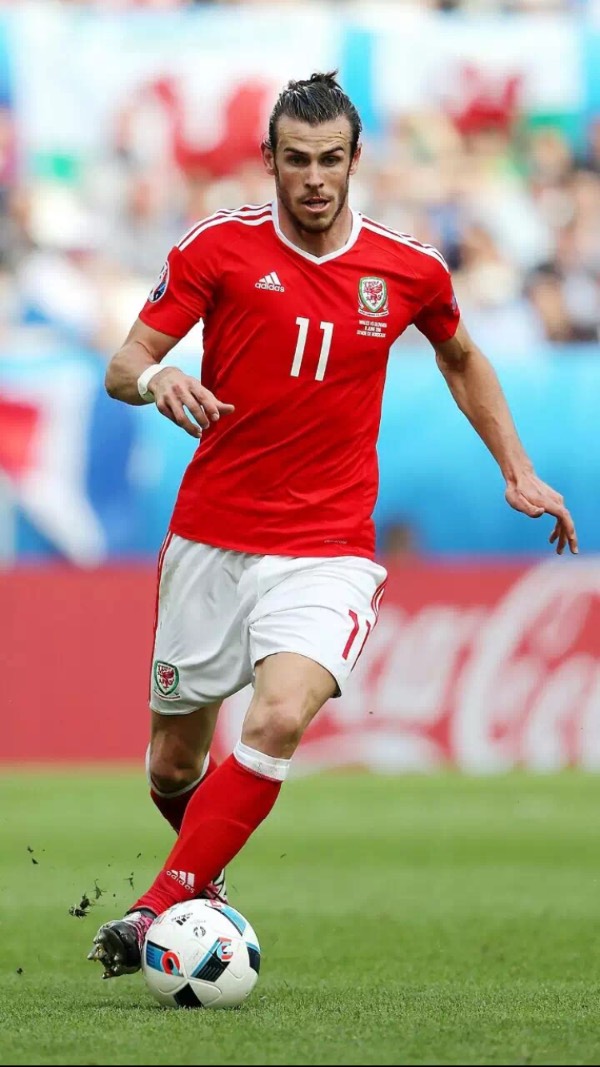 令教练组和 令教练组和