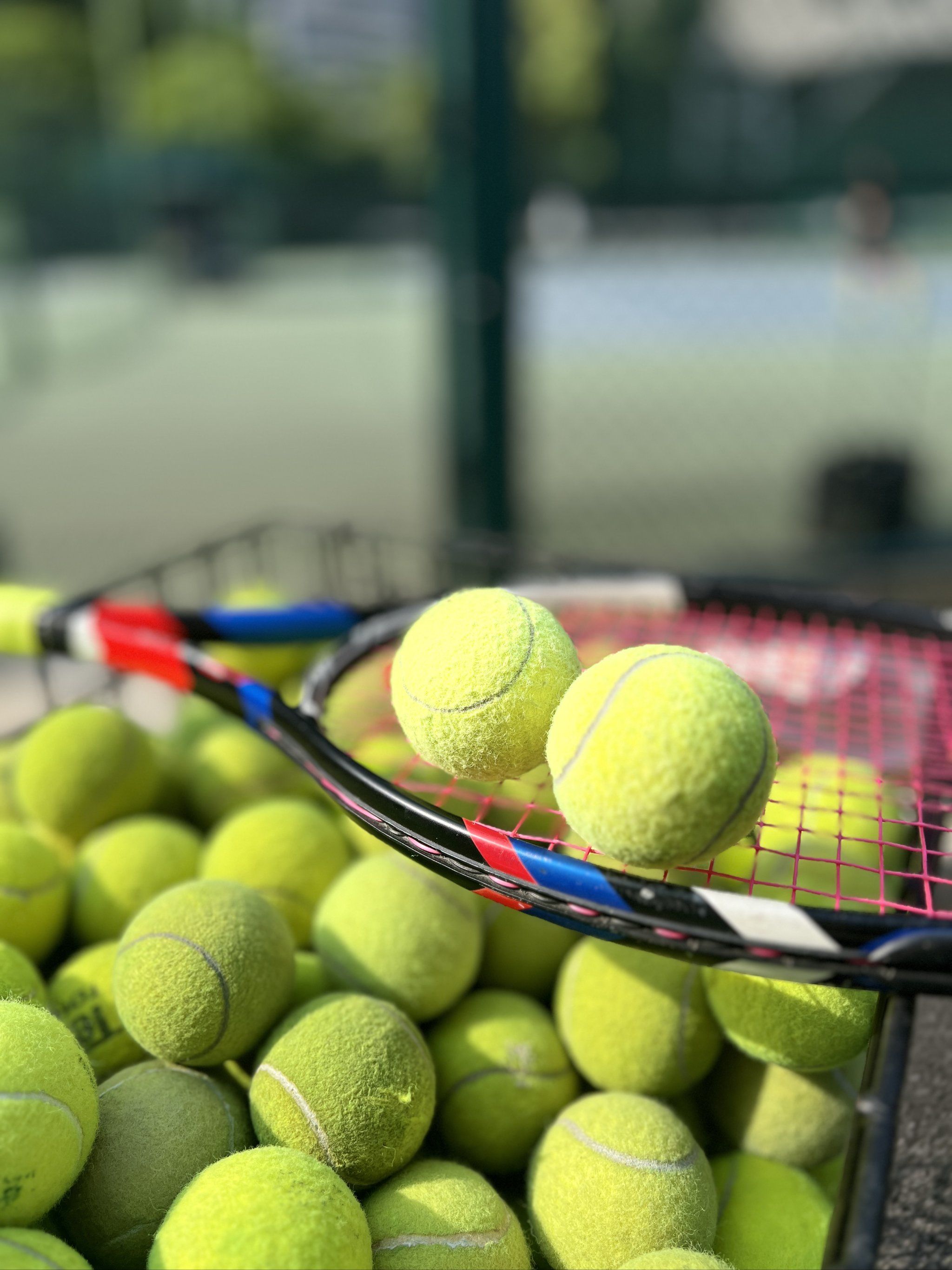 约翰逊却在 约翰逊却在